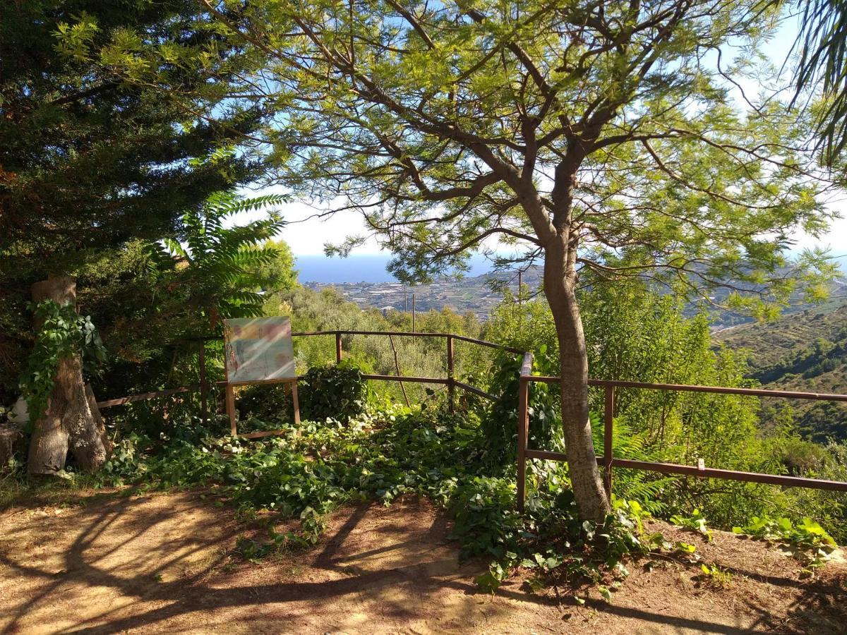 Detached House With Garden And Sea View Guest House Sanremo Ngoại thất bức ảnh